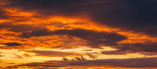 Item #49633034282414370957542520071965888619840917095152681311808904523735057301505 Media