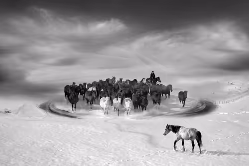 Item #73363223370355250909196244140857466626496998110185198638772903912532332249089 Media