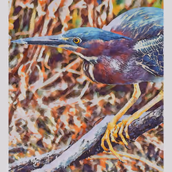 55704534837685659622621715309832868758345944585427688586690141415763855015937