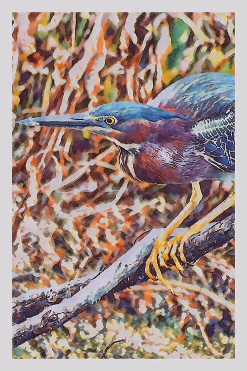 Item #55704534837685659622621715309832868758345944585427688586690141415763855015937 Media