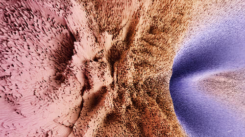 Item #87855534987201374925371944818297600221317149567981150322417554455002884341761 Media