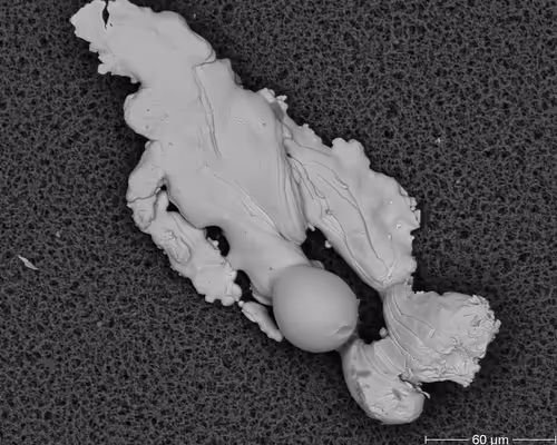 Item #22177301469207423034343584871570086378673375420367340164683847208877965705217 Media