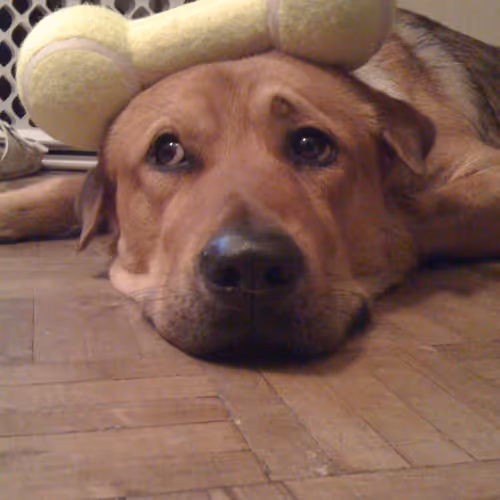 Untitled Collection #211872013