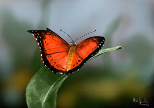 Item #39421720859211354598059957797071189726995094898407091321274451938574164033537 Media