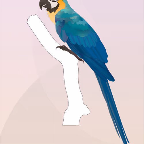 Vector Birds