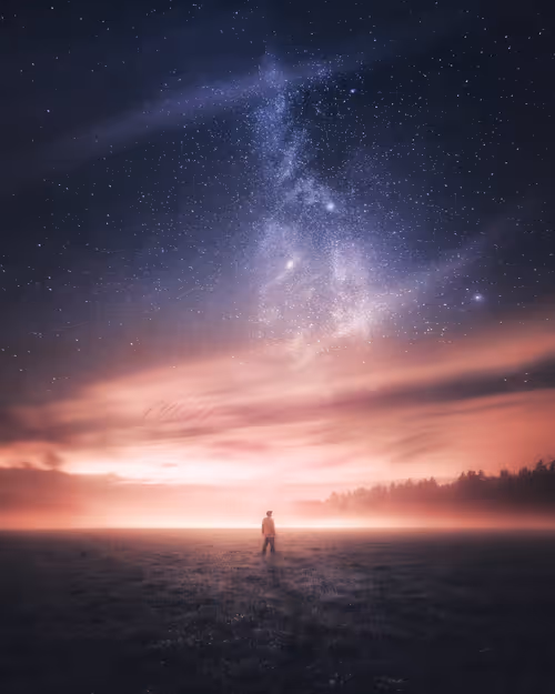 Item #134489906944514601836567189437532879130233761745768622289177282199922147329 Media