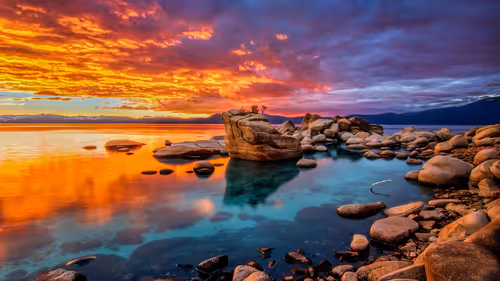 Item #115375755332542330133237168944702422006973148153706349190887072624011049435137 Media