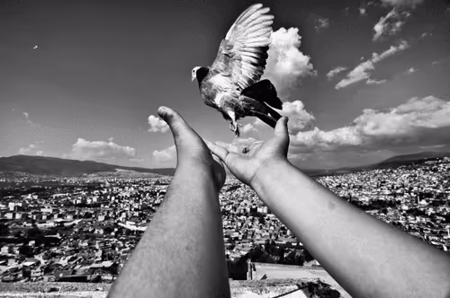 SerkanColak Editions