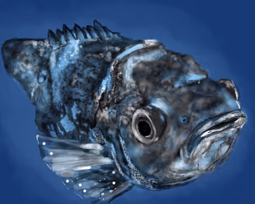 Item #32979819915847657134905122464144943056954992387867001458806650755494275186689 Media