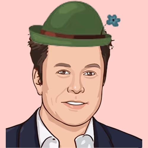 Funny Hat Elon Musks
