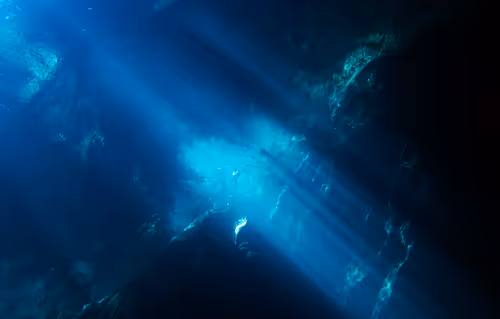 Item #25422583313571458459737529461820134862175223810011730482418987895855723315201 Media