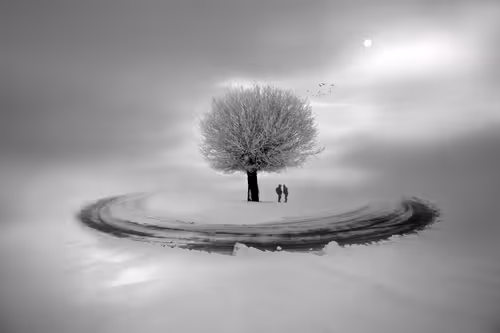 Item #73363223370355250909196244140857466626496998110185198638772903909233797365761 Media