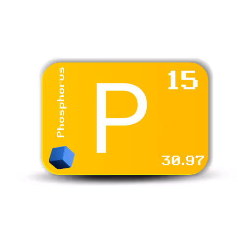 Item #5275982941853913615166829579441509786052220851513936525914586684417273495553 Media