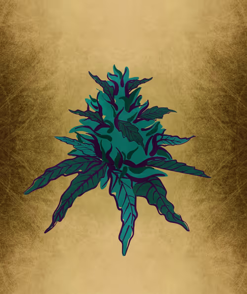 Item #88173920956366532206384104525204378846175092179682069740847406058442120495105 Media