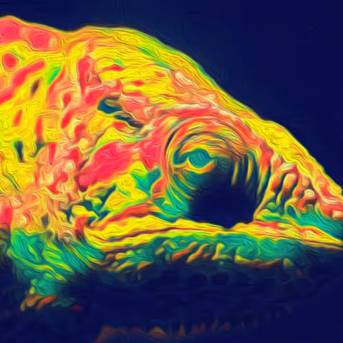 Psychedelic Chameleon