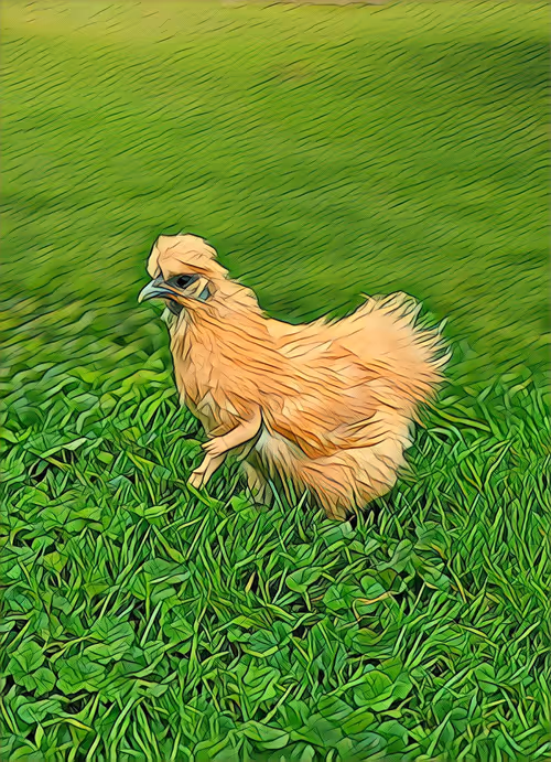 Item #12986001583624842443475589555777676835882886084855718816066093920265330229249 Media