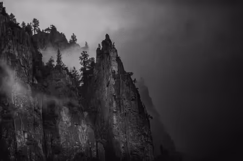 venture: misty moods from yosemite