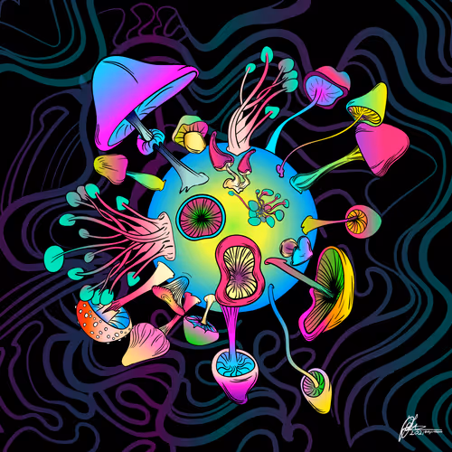 Item #57941255445620779425959250038654691890070187567565923896778048097899247566853 Media