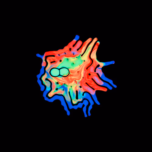 Haematopoiesis