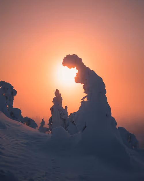 Item #85137439897558800446681939847979956921112818192745958846838338949063852949505 Media