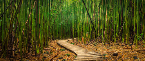 Item #82417153875234504689243182552289340628574681737475543196365593196919907155969 Media