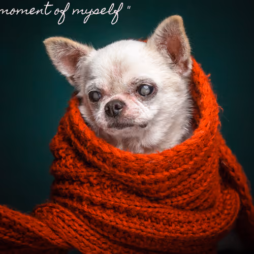 Abby : myself moment