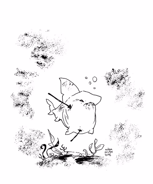 Item #11307881974693685273713245022726456407466531311781933743548489442478258126849 Media