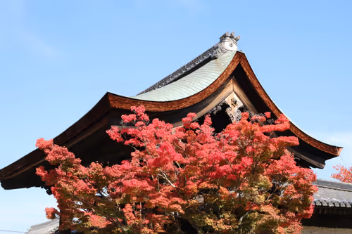 Item #82128306357763875677992979084533453962815137074133455862851432423117392183297 Media