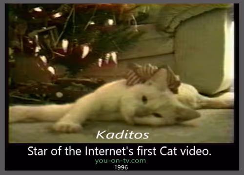 Item #87317991089563377123359785248327651691832537476037675354569756037033159032833 Media