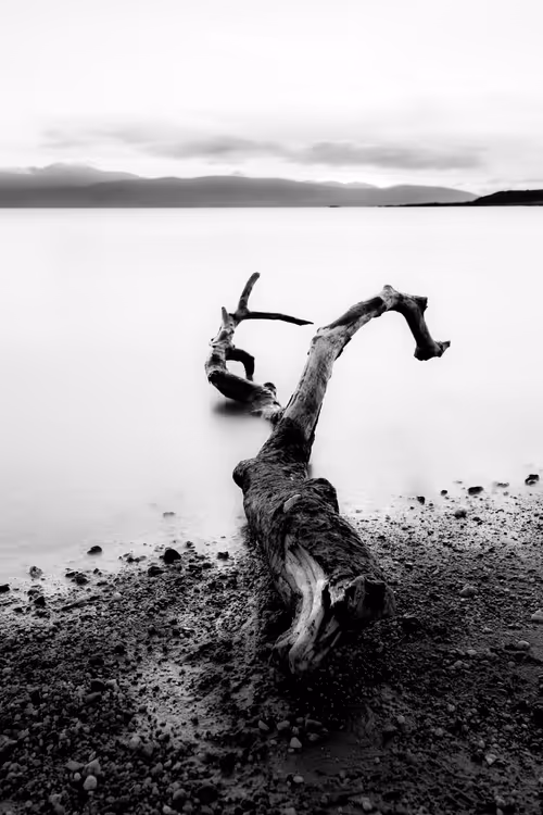 Item #41307754128955213419929316097644134962608763953462543917876023000337253138433 Media