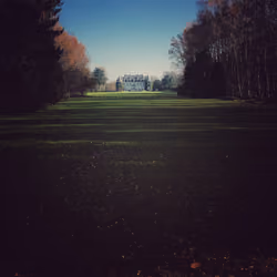 lawn