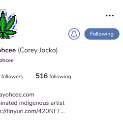 Blaze it - Profile