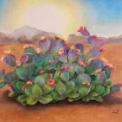 Cheerful_cactus