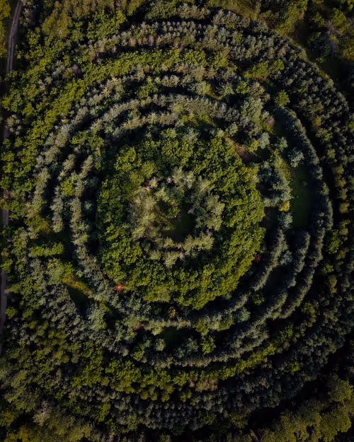 Item #100600280271040798317723628260513137156606623100883316454227272259608151851009 Media