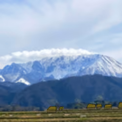 29595913646298183068278621443654980953680451665890479433203796497629118988289
