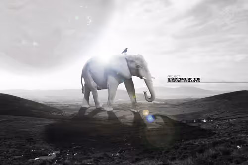 Item #90811557408914315542933058795558390675341075659638749078852240577551153496065 Media