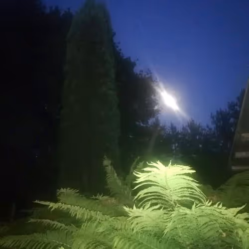 NATO Missile Strike