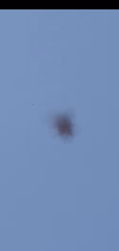 Item #19624833753065134502322523397661449592340320591510987069321211822403020128257 Media