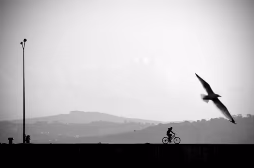 Item #4093068932736434515340023784875103013071720987549952110922589163893207072769 Media