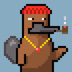 Platy Punk #1774