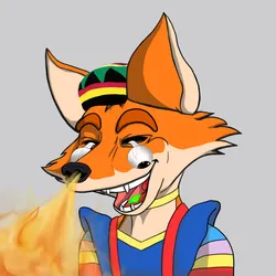 Cunning Fox 11663