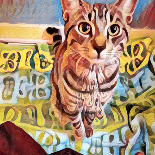 JohnnyPaka Collection