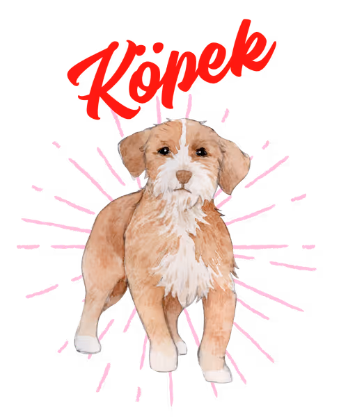 Item #30439941665264406121412249747793927691731400004566964314489913606399282118663 Media