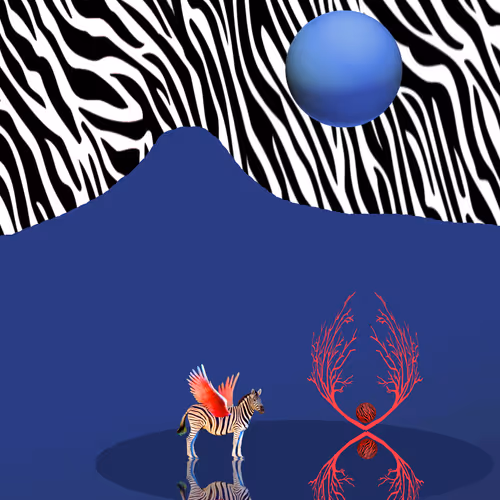 Zebrapegasus EH1YQAhqMM