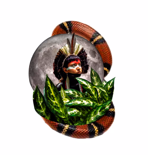 Item #68668679460733179751995579046996266075263869281073028949934511758525950066691 Media