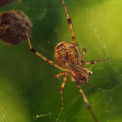 105090597216655980557633683149084672751347825439893935605656298011124259880961