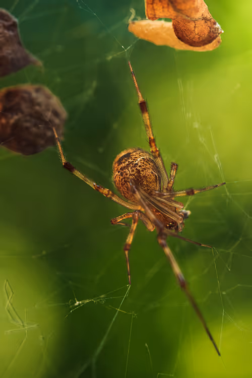 Item #105090597216655980557633683149084672751347825439893935605656298011124259880961 Media