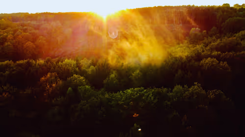 Item #53367914095033867977932657096598668065146213244156495122134932048153961037825 Media