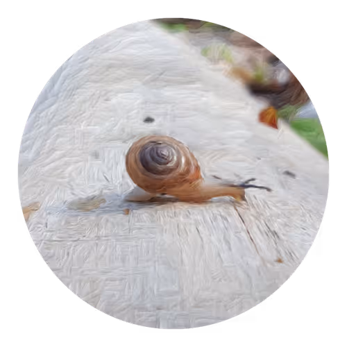 Item #73474911565276893363269127585336255498112534630235322163062143068855590715393 Media