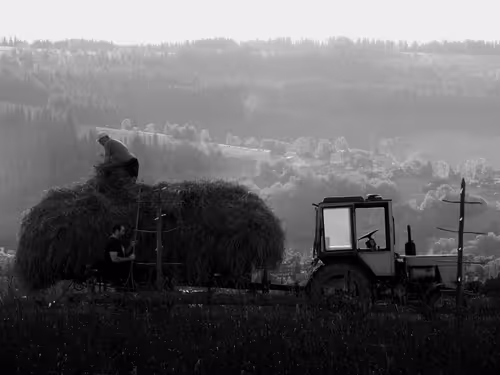 Item #83078762740139376938718327427233199779928808493802448471748731845043348832257 Media